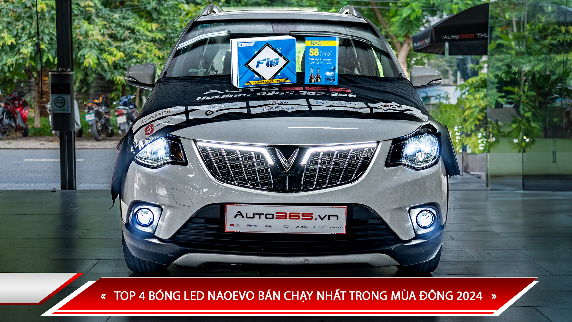 TOP 4 BÓNG LED NAOEVO BÁN CHẠY NHẤT TRONG MÙA ĐÔNG 2024